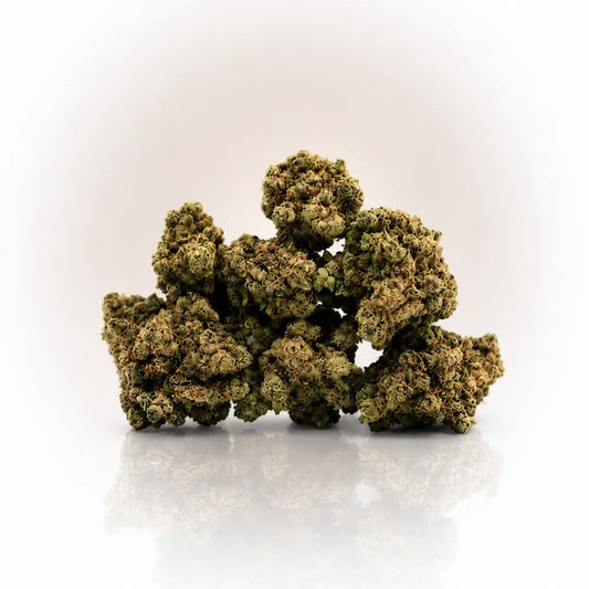 Fleur de CBD Amnesia en gros plan, boutique Ambre