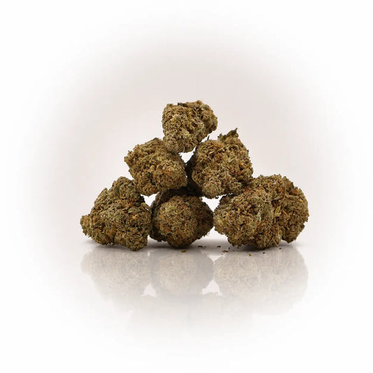 Fleur de CBD Jack Herer en gros plan, boutique Ambre
