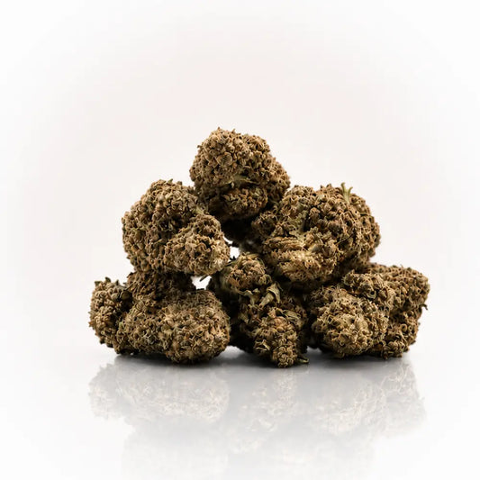 Fleur de CBD OG Kush en gros plan, boutique Ambre — CBD légal en France
