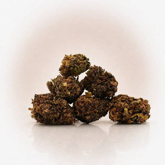 Fleur de CBD Purple Haze en gros plan, boutique Ambre
